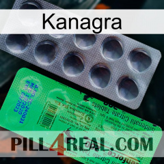 Kanagra new04